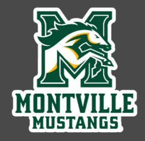 Water Bottle Stickers - Montville Mustangs