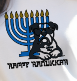 Cedar Hill HANUKKAH - HOODIE