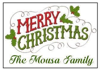 Enclosure Cards/Gift Tags - Merry Christmas & Holly with Family Name (set of 20)