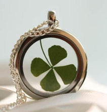 Dried Four Leaf Clover encased in a Glass Pendant