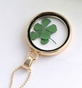 Dried Four Leaf Clover encased in a Glass Pendant