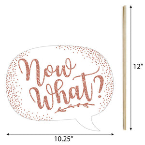 Photo Booth Props - Graduation Theme - Rose Gold - Class of 2019