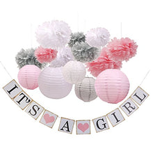 Baby Girl Shower Decorations - Pom Poms - Lanterns and more