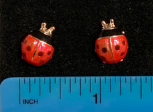 Ladybug Earrings