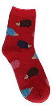 Hedgehog Socks - Red
